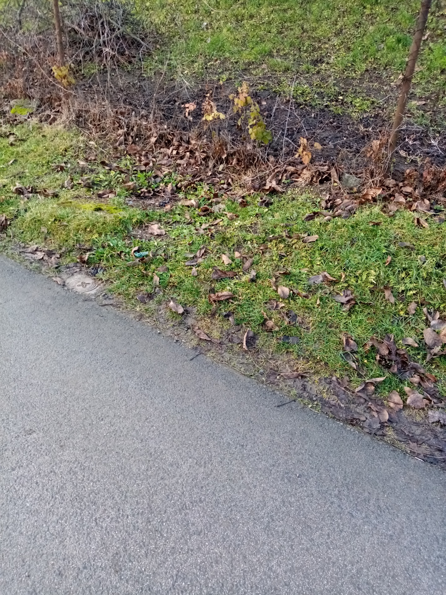 Za nejaký rok túto kanalizačnú šachtu nikto nenájde